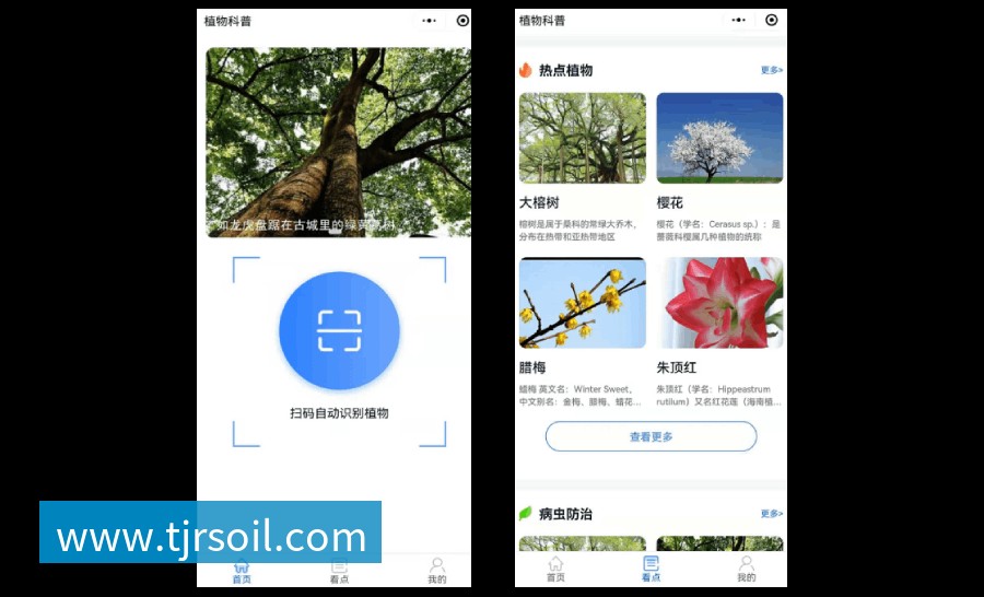 植物科普扫码系统