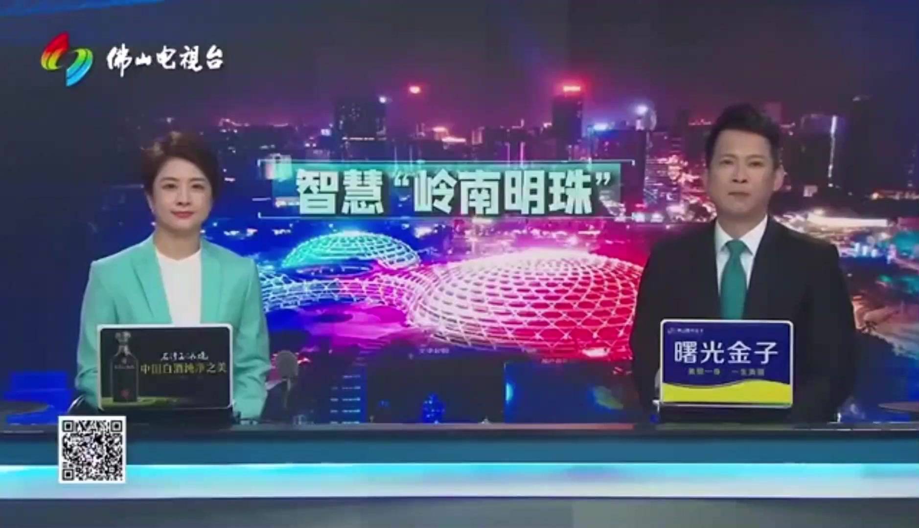 岭南明珠案例(封面).mp4 岭南明珠案例(封面).mp4