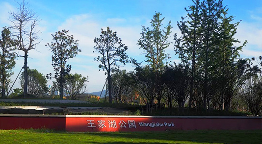 浙江诸暨 · 王家湖公园