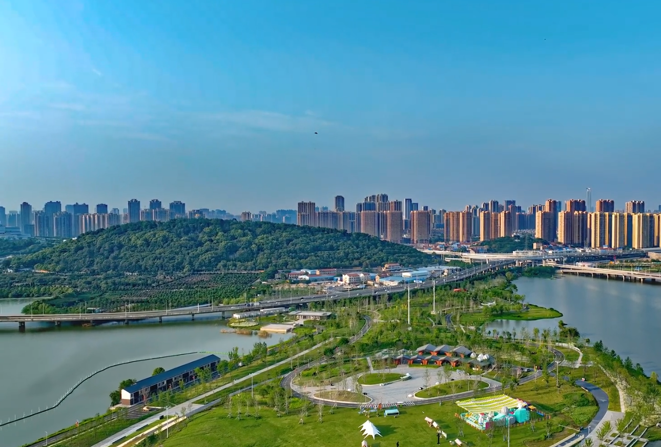 人文气息与智能科技的结合的智慧公园,研学园、禅茶园、静思园,武汉龙阳湖公园焕新颜,